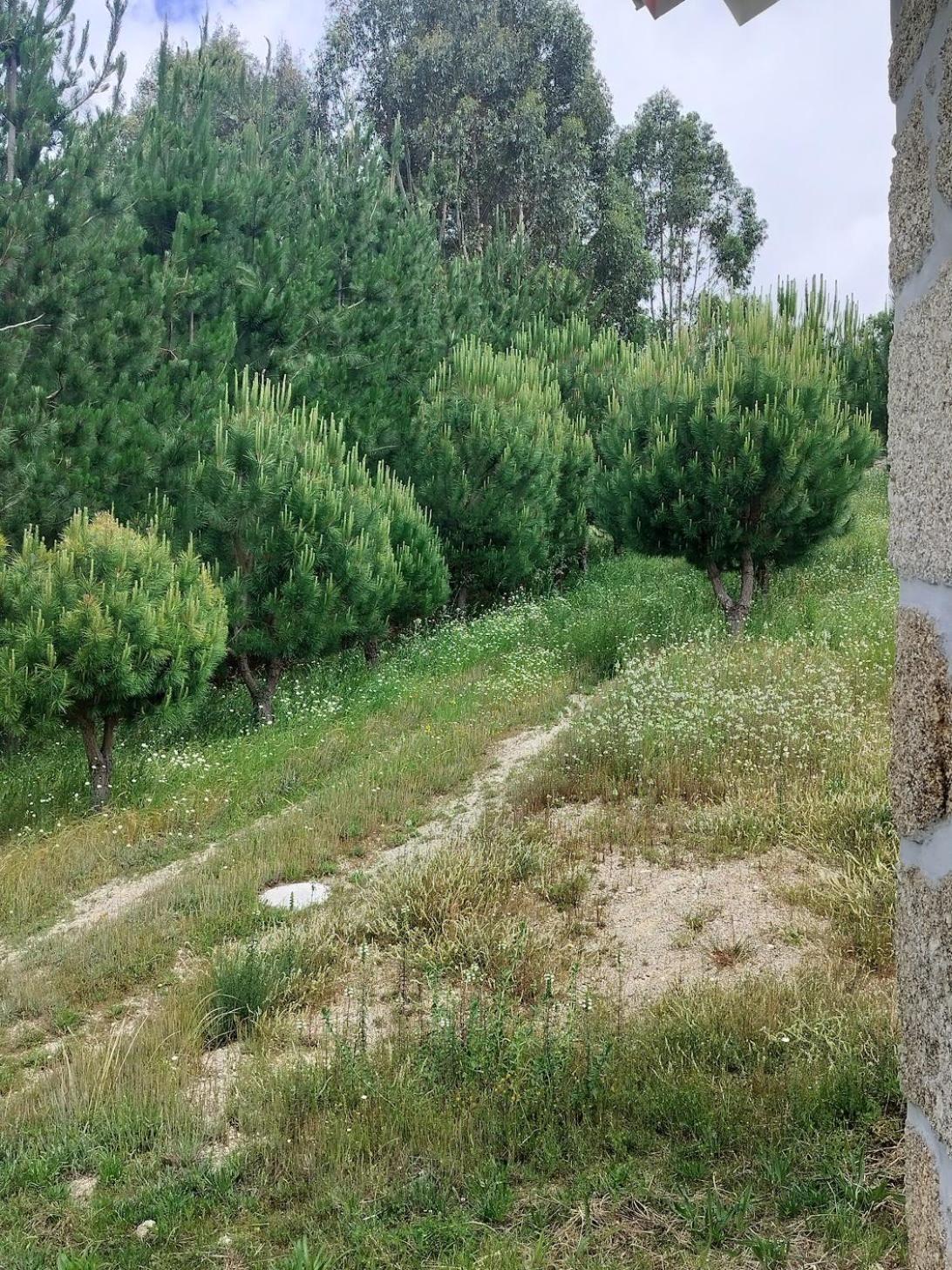 Vila Arpuro Gouveia  Exteriér fotografie